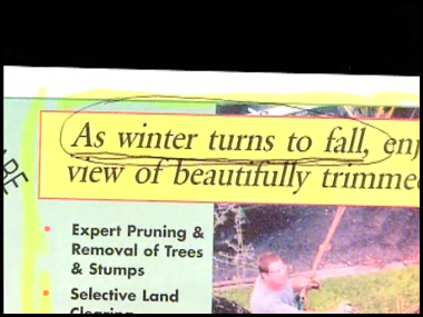 as_winter_turns_to_fall.jpg